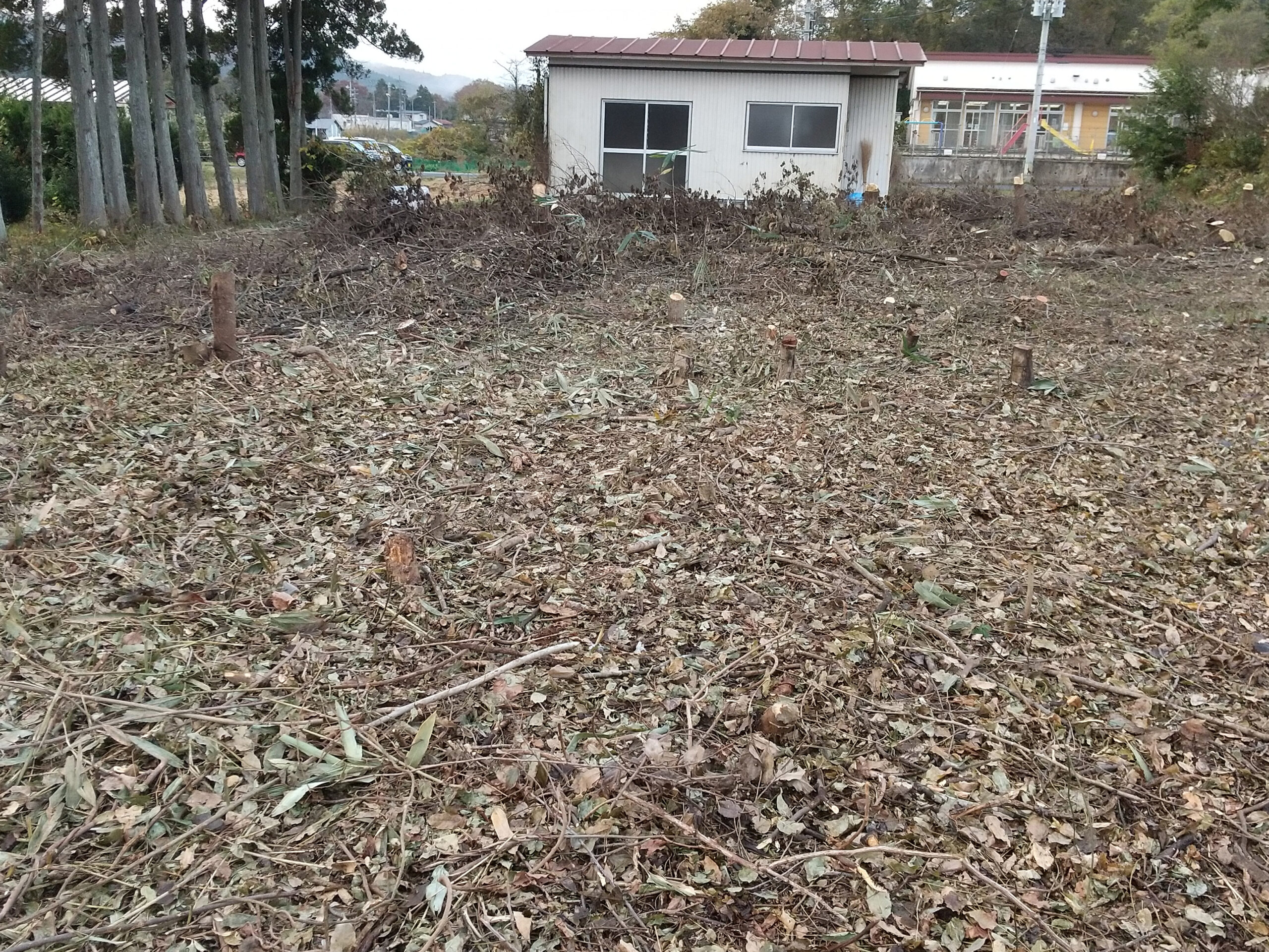 太陽光発電所土地取得